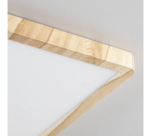 Накладной светильник Citilux Бейсик CL738K242V