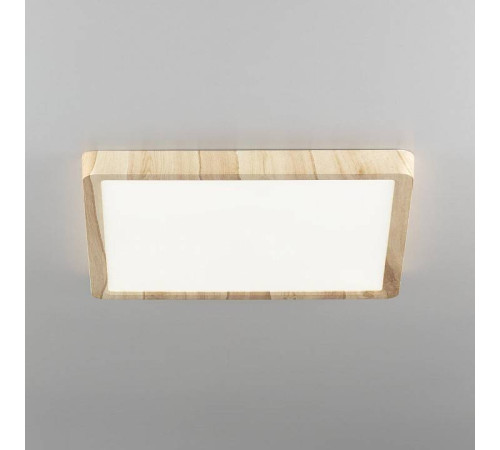 Накладной светильник Citilux Бейсик CL738K242V