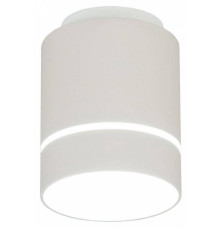 Накладной светильник Citilux Борн CL745010N