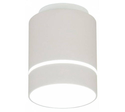 Накладной светильник Citilux Борн CL745010N