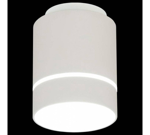 Накладной светильник Citilux Борн CL745010N