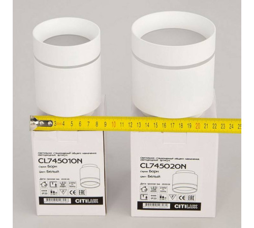 Накладной светильник Citilux Борн CL745010N