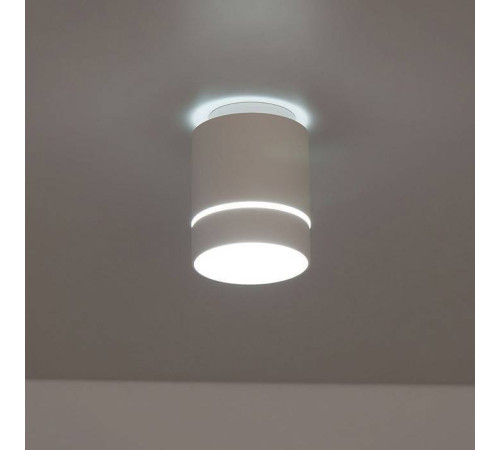 Накладной светильник Citilux Борн CL745010N