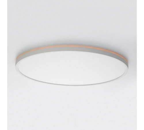 Накладной светильник Citilux NORMA CL749500