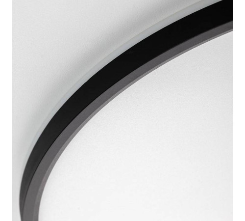 Накладной светильник Citilux NORMA CL749501