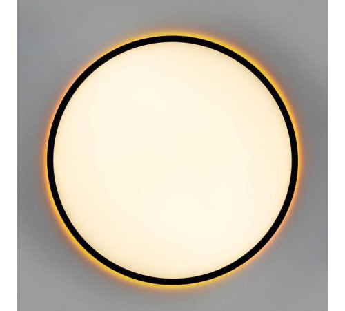 Накладной светильник Citilux NORMA CL749501