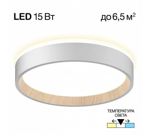 Накладной светильник Citilux Etalon CL750180