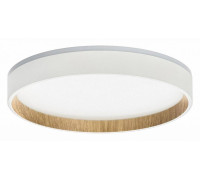Накладной светильник Citilux Etalon CL750240
