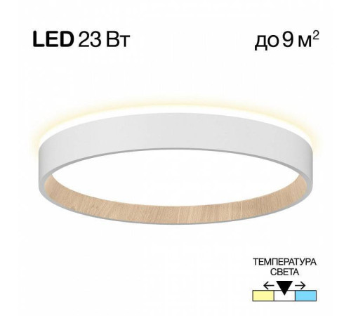 Накладной светильник Citilux Etalon CL750240