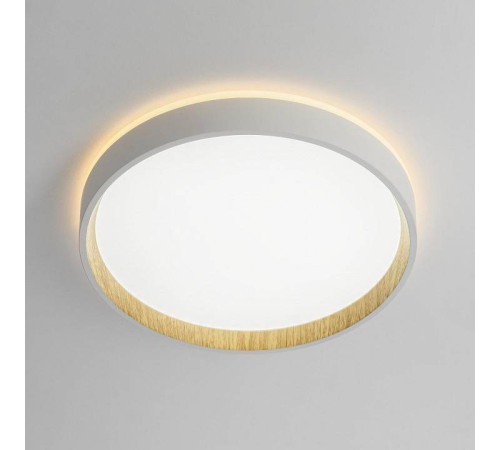 Накладной светильник Citilux Etalon CL750240