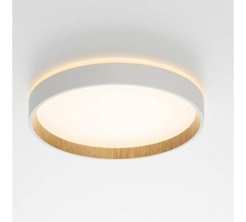 Накладной светильник Citilux Etalon CL750240