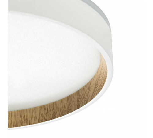 Накладной светильник Citilux Etalon CL750240