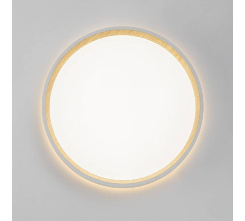 Накладной светильник Citilux Etalon CL750240