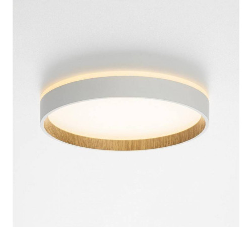 Накладной светильник Citilux Etalon CL750240