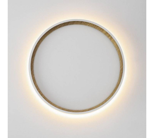 Накладной светильник Citilux Etalon CL750240