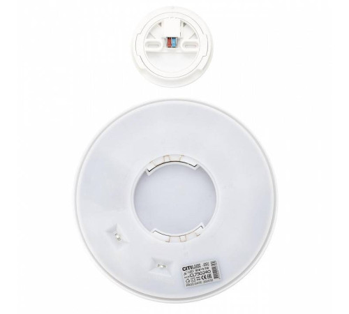 Накладной светильник Citilux Etalon CL750240
