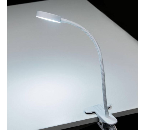 Настольная лампа офисная Citilux Ньютон CL803070N