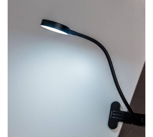 Настольная лампа офисная Citilux Ньютон CL803071N