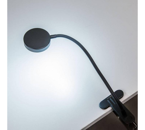 Настольная лампа офисная Citilux Ньютон CL803071N