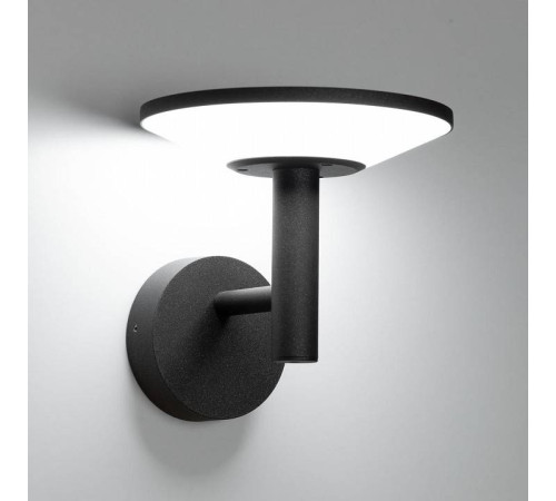 Светильник на штанге Citilux Dorn CLU05W