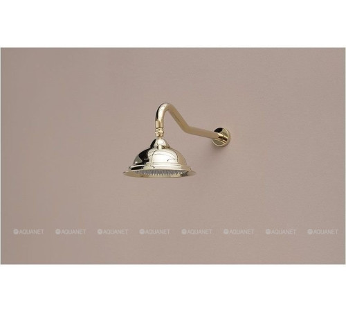 Держатель для верхней лейки Aquanet ARY034-T настенный золото 00202241