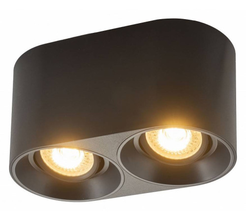 Накладной светильник Denkirs DK3020BВ DK3036-BK
