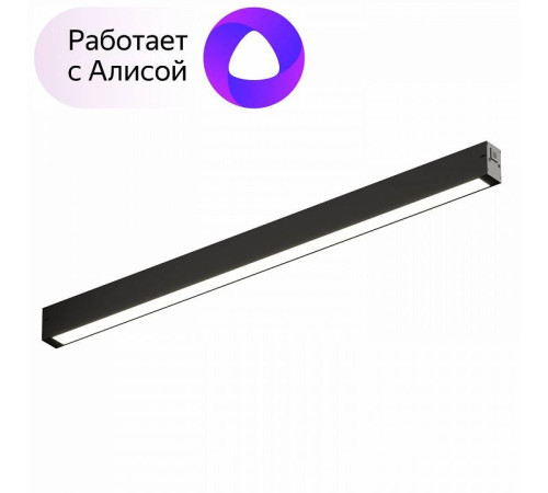 Накладной светильник Denkirs DK8005 DK8005-BK