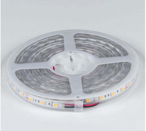 Лента светодиодная DesignLed DSG560 00-00000519