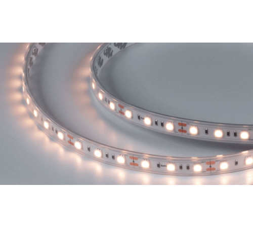 Лента светодиодная DesignLed DSG560 00-00000519
