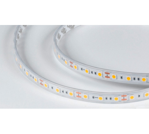 Лента светодиодная DesignLed DSG560 00-00000519