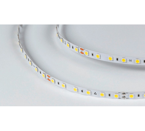 Лента светодиодная DesignLed DSG560 00-00000520