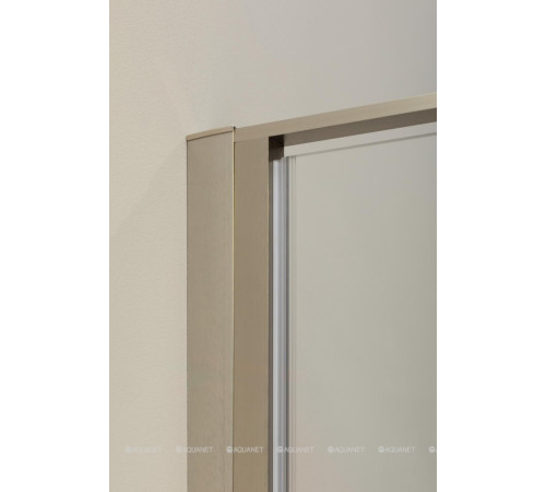 Душевая дверь в нишу Allen Brau Priority 1000 мм стекло Optiwhite серебро 3.31005.BA