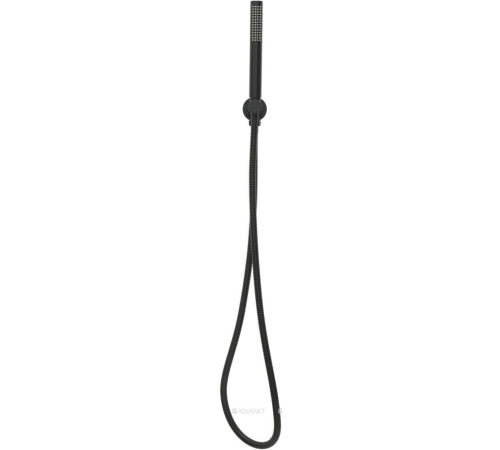 Душевой набор Allen Brau Priority ручной душ водорозетка шланг 1500 мм черный матовый 5.31019-31