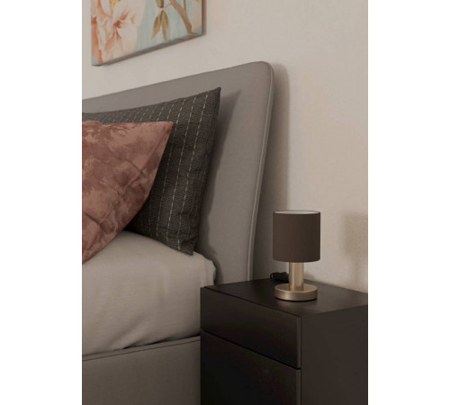 Настольная лампа декоративная Eglo MONTETTO 31842