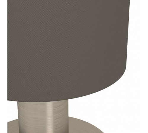 Настольная лампа декоративная Eglo MONTETTO 31842