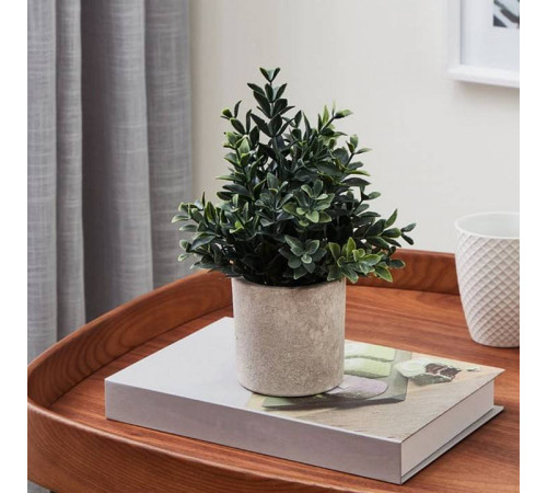 Растение в горшке Eglo Chitose 428028