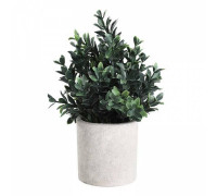 Растение в горшке Eglo Chitose 428028