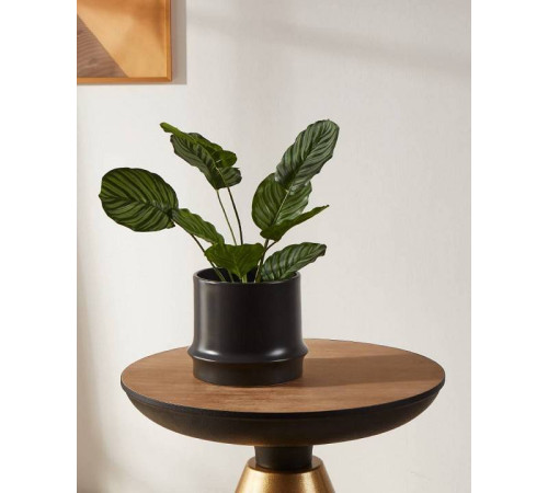 Кашпо Eglo Parkent 428152