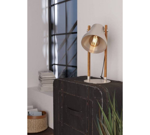 Настольная лампа декоративная Eglo Cawton 43953