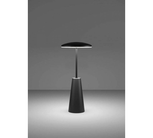 Настольная лампа декоративная Eglo PICCOLA 900925