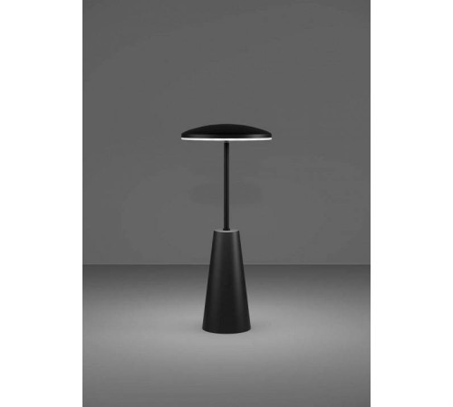 Настольная лампа декоративная Eglo PICCOLA 900925