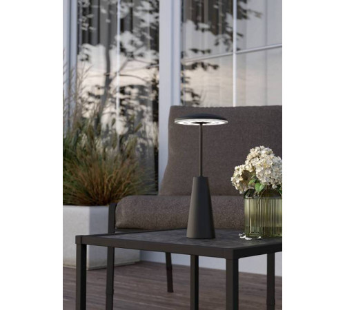 Настольная лампа декоративная Eglo PICCOLA 900925