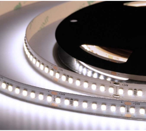Лента светодиодная ELFLED ELF-960SMD2835NWw-Xtr36