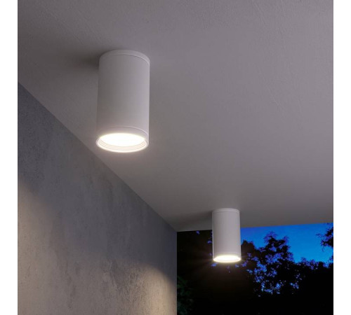 Накладной светильник Elektrostandard Light a056333