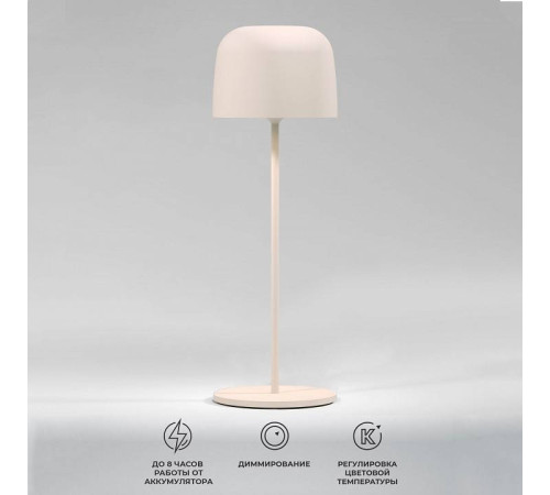 Настольная лампа декоративная Elektrostandard Bitty a069003