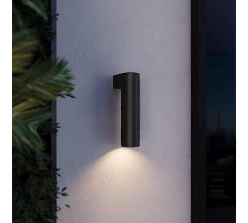 Светильник на штанге Elektrostandard Nork 35187/D