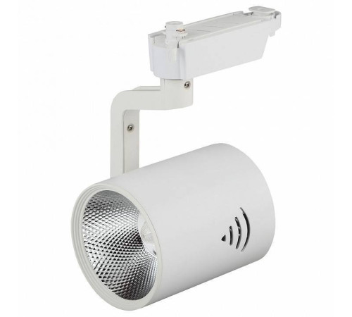 Светильник на штанге Эра TR1 TR1 - 30 WH