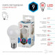 Лампа светодиодная ЭРА Стандарт E27 9 Вт 4000 К LED-A60-9W-840-E27