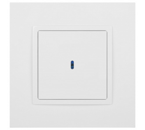 Выключатель одноклавишный с подсветкой без рамки Эра Эра Elegance 14-1102-01