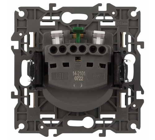 Розетка с заземлением, без рамки Эра Эра Elegance 14-2101-02